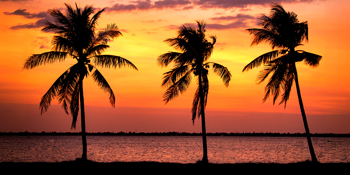 Is Southwest Florida Considered Tropical?